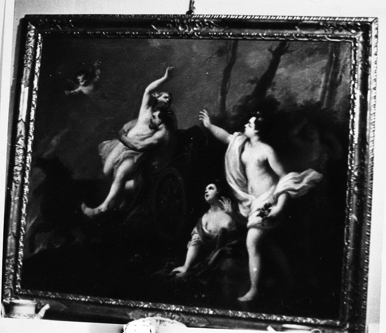 Ratto di Proserpina - Parma